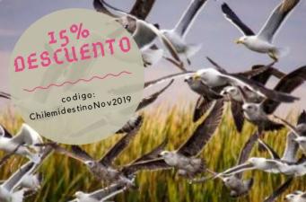 Bird Watching & Nativo Tour