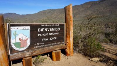 Fray Jorge Endemic